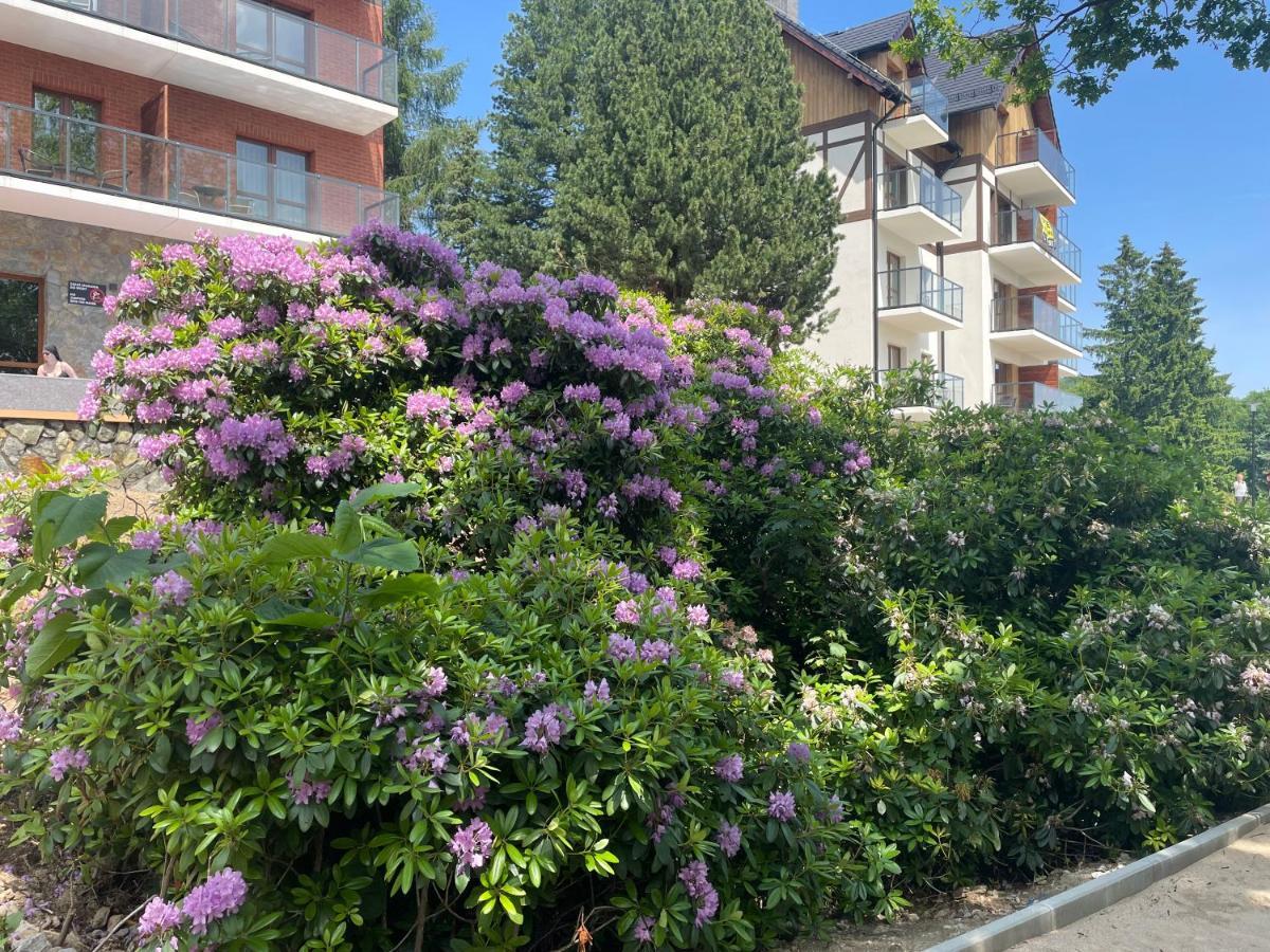 Apartament N&B 斯克拉斯卡波伦巴 外观 照片